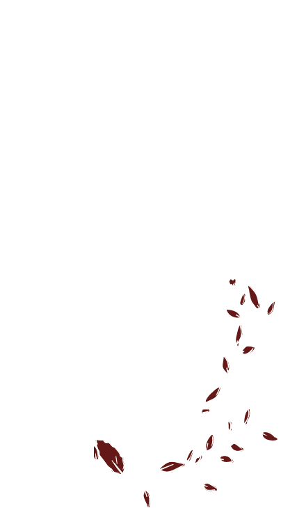 L’attribut alt de cette image est vide, son nom de fichier est Cueillettes-et-potions_logo_B.png.